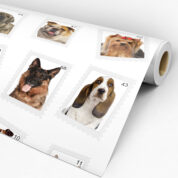 Papel de parede adesivo Dcorando Animal REVANI11