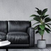 Papel de parede adesivo FLORAL Dcorando REVFLO09-3