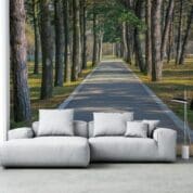 Painel Fotográfico Dcorando Caminho Park