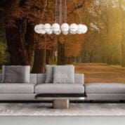 Painel Fotográfico Dcorando Floresta no Outono