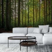 Painel Fotográfico Dcorando Floresta