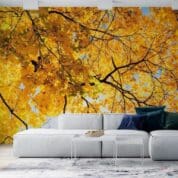 Painel Fotográfico Dcorando Folhas Amarelas