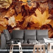 Painel Fotográfico Dcorando Folhagens