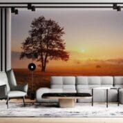 Painel Fotográfico Dcorando Nevoeiro