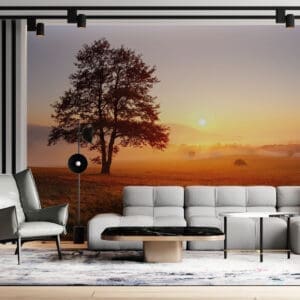 Painel Fotográfico Dcorando Nevoeiro