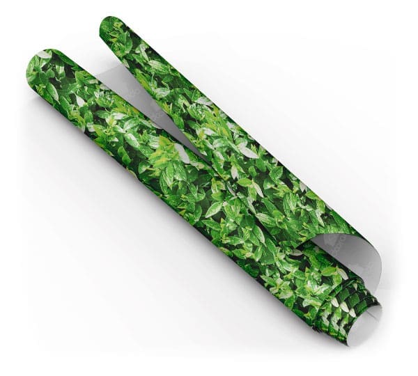 Papel de parede Dcorando Folhagem molhada folha