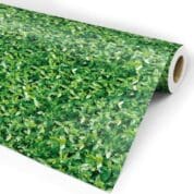 Papel de parede folhagem molhada Dcorando