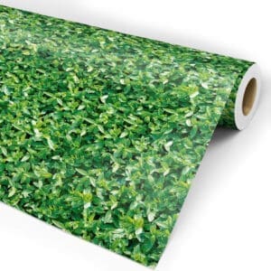 Papel de parede folhagem molhada Dcorando