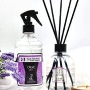 Kit Sky Água Perfumada + Difusor De Ambiente Sensações Dcorando - capa